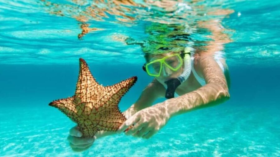 isla saona día completo - Saona Island free time: pick your pace, manage the crowds