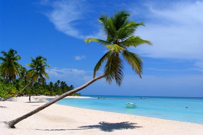 Isla Saona El Paraiso del Caribe - Key Highlights You’ll Actually Feel