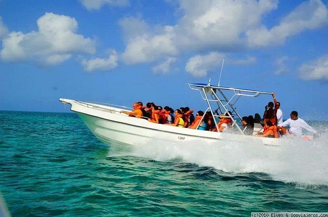Isla Saona El Paraiso del Caribe - Lunch on Saona: Buffet Food, Drinks, and Realistic Expectations