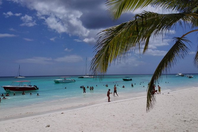 Isla Saona El Paraiso del Caribe - Getting There from Punta Cana: Pickup, Bus Ride, and Bayahibe