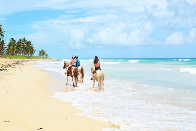 Jungle and Beach Horse Ridding round trip transportatin. - What You’ll Actually Like (and a Key Caution)