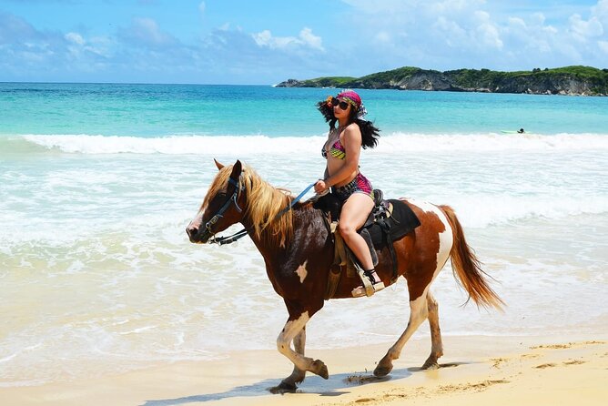 Jungle and Beach Horse Ridding round trip transportatin. - Round-Trip Pickup That Keeps the Day Simple