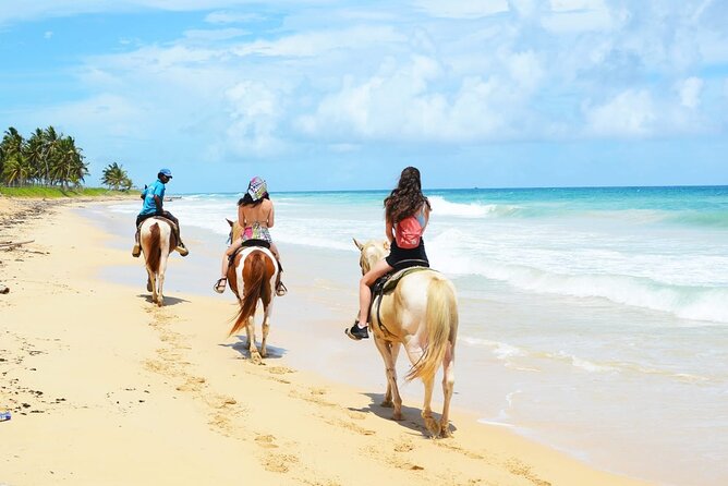 Jungle and Beach Horse Ridding round trip transportatin. - Price and Value: Does $51 Make Sense?