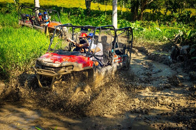 Jungle Buggies and Monkeyland from Punta Cana - Key Highlights You Should Know Before You Go