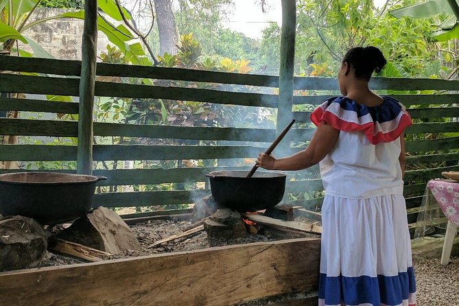 Jungle Buggies and Monkeyland from Punta Cana - Don’t Lose Time to Confusion: Transfers, Photos, and Small Surprises