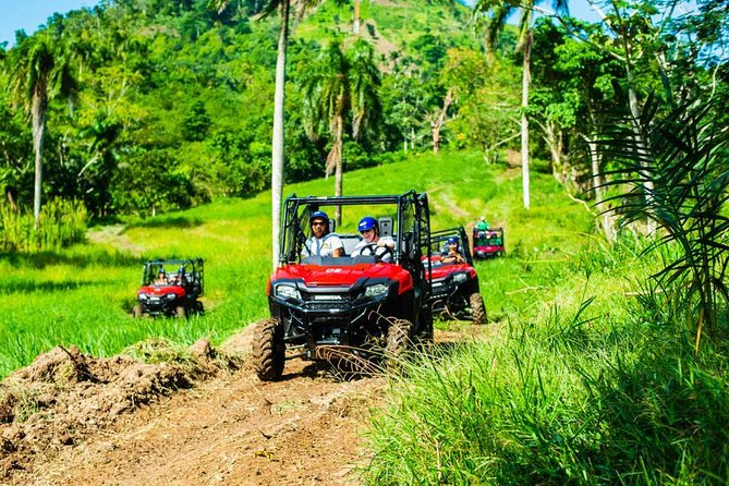 Jungle Buggies and Monkeyland from Punta Cana - Monkeyland: Guided Squirrel Monkey Time That Actually Feels Personal