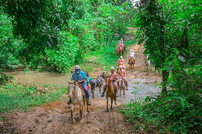 Jungle Buggies + Zilplining + Horseback Ride + Countryside + Macao Beach - Price and what you actually get for $113.05