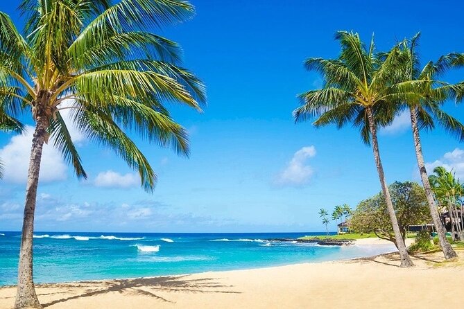 Kayak Adventure Photography on the beach - Drone Video, the Palm-Tree Backdrop, and the Shot You Can Reuse for Years