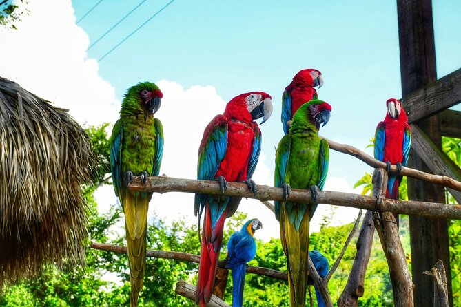 La Hacienda Park Tour - Key highlights before you go