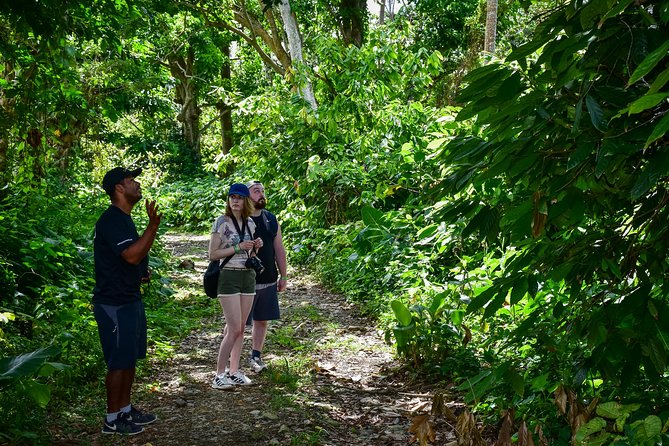 Let's do hiking in Punta Cana - What the Half-Day Schedule Feels Like: Vista Alegre to Anamuya