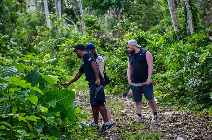 Let's do hiking in Punta Cana - The Trail Reality Check: 5 km, Steep Hills, Mud, and Small Water Crossings
