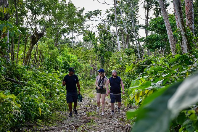Let's do hiking in Punta Cana - Rain Happens: How Weather Changes the Day (Without Ruining It)