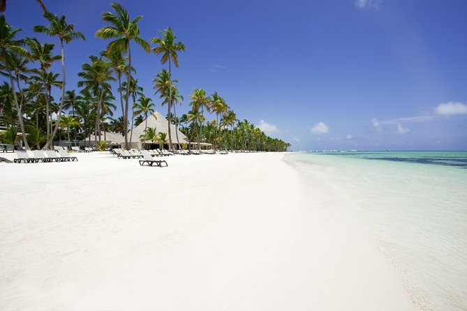 Live Aqua Beach Resort Punta Cana - Round Trip Shuttle - Punta Cana Airport - Key Things I’d Want You to Know Up Front