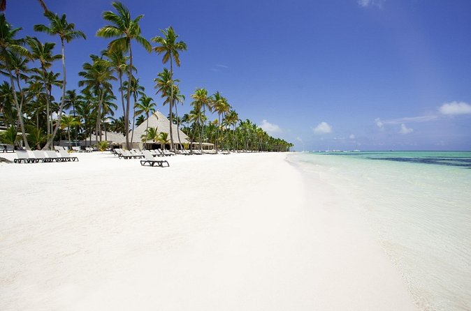 Live Aqua Beach Resort Punta Cana - Round Trip Shuttle - Punta Cana Airport - Round-Trip Value: When $133.34 Makes Sense