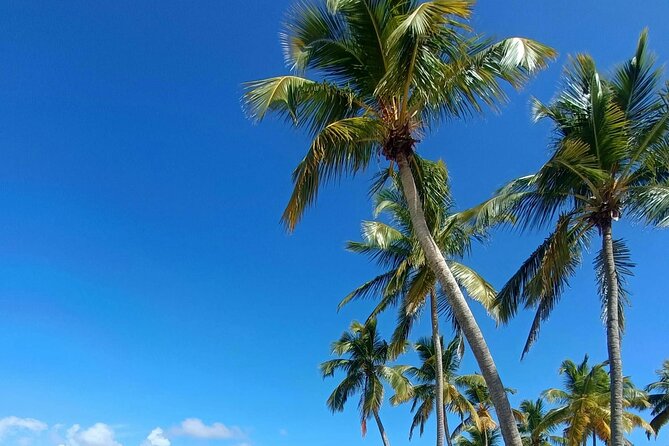 Los Haitises National Park, Montaña Redonda & Bacardi Island - Where the $203 price makes sense (and where to be picky)