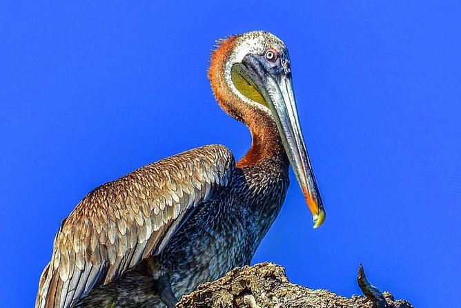 Los Haitises National Park Tour from Punta Cana Montana Redonda and Cano Hondo - Group Size and Comfort: Less Crowded Beats More Activity
