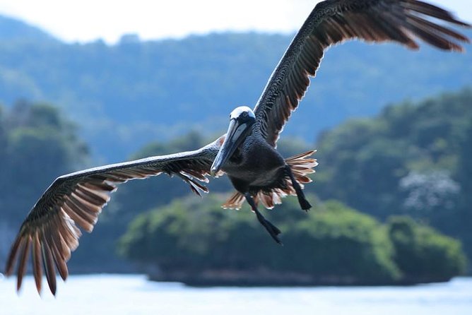 Los Haitises National Park Tour from Punta Cana Montana Redonda and Cano Hondo - Weather, Timing, and the Reality of Nature Days