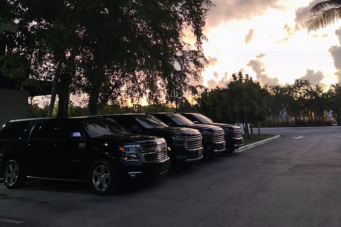 Luxe Black Car Transfer – Cap Cana, Bavaro & Punta Cana Airport - Drop-Off Details: Cap Cana, Bávaro, Punta Cana, and the Zone Surprise
