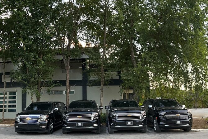 Luxe Black Car Transfer – Cap Cana, Bavaro & Punta Cana Airport - Who This Transfer Fits Best (and Who Might Prefer Something Else)