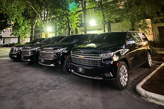 Luxe Black Car Transfer – Cap Cana, Bavaro & Punta Cana Airport - Finding Your Driver: The Name Sign and Luggage Help
