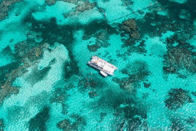 Marinarium Snorkeling Cruise from Punta Cana - Snorkeling helpers: what support can look like