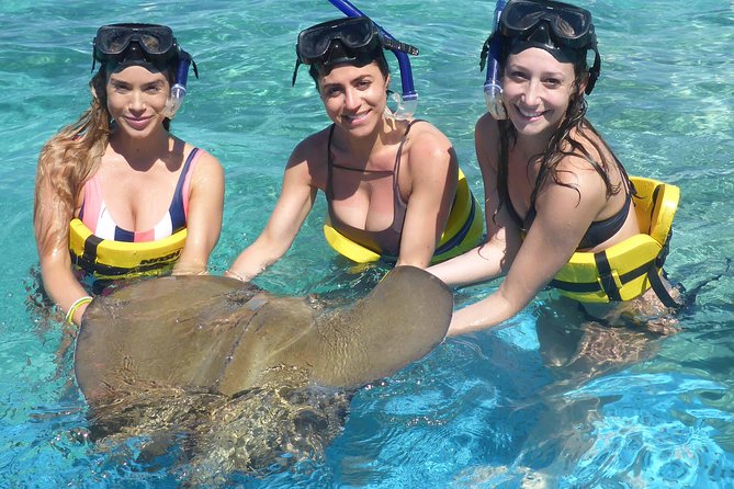 Marinarium Snorkeling Cruise from Punta Cana - What may disappoint you—and how to decide anyway
