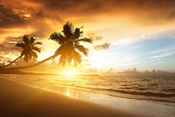 Meliá Caribe Beach - Round Trip Shuttle - Punta Cana Airport - What’s included vs not included (and what to plan for)