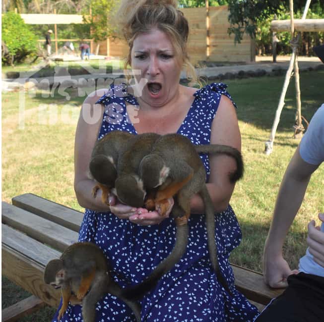 Monkey House VIP – An exclusive experience in Punta Cana - Key highlights at Monkey House VIP