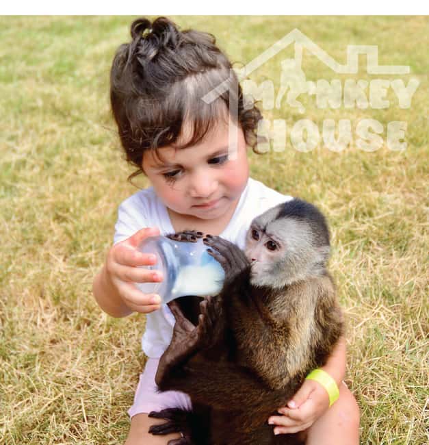 Monkey House VIP – An exclusive experience in Punta Cana - Monkey House VIP in Punta Cana: what makes it different