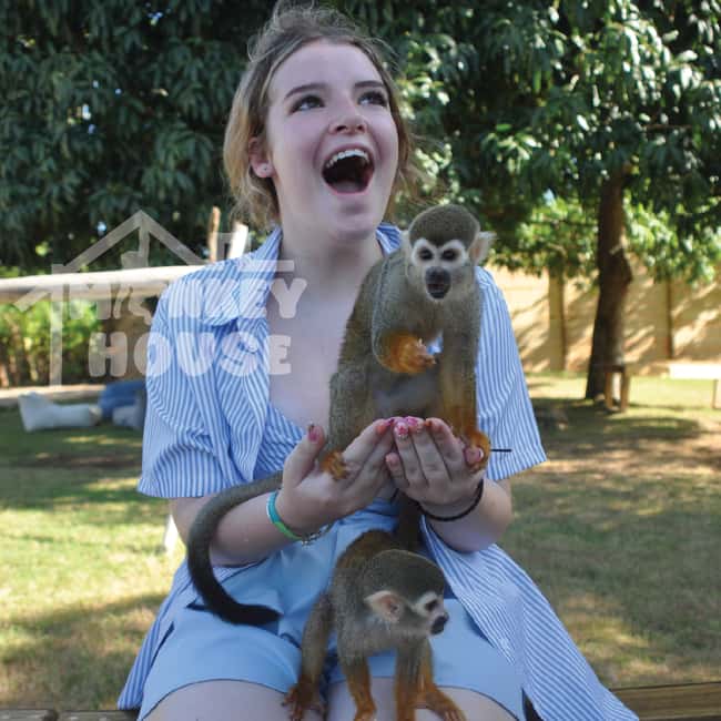Monkey House VIP – An exclusive experience in Punta Cana - Inside the VIP Monkey House: guided interactions that stay organized