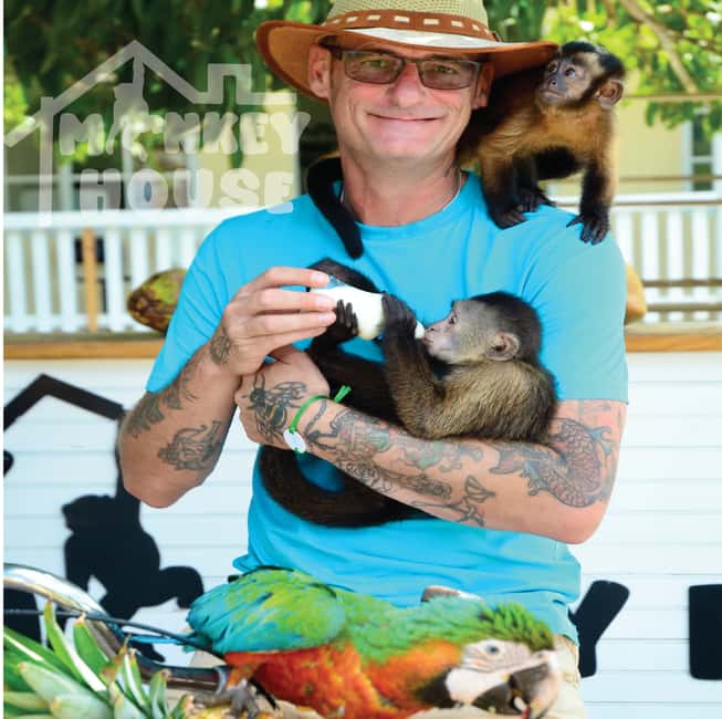Monkey House VIP – An exclusive experience in Punta Cana - Getting there and settling in: how the 150 minutes tend to feel