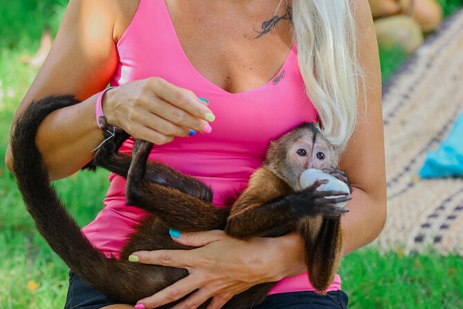 Monkey House VIP Experience with 4 species of monkeys, Punta Cana - Key things to know before you go