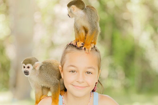 Monkey House VIP Experience with 4 species of monkeys, Punta Cana - Four Monkey Species Up Close: What the Monkey House VIP Feels Like