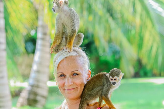 Monkey House VIP Experience with 4 species of monkeys, Punta Cana - Phones, Photo Packages, and the Cost Reality Check