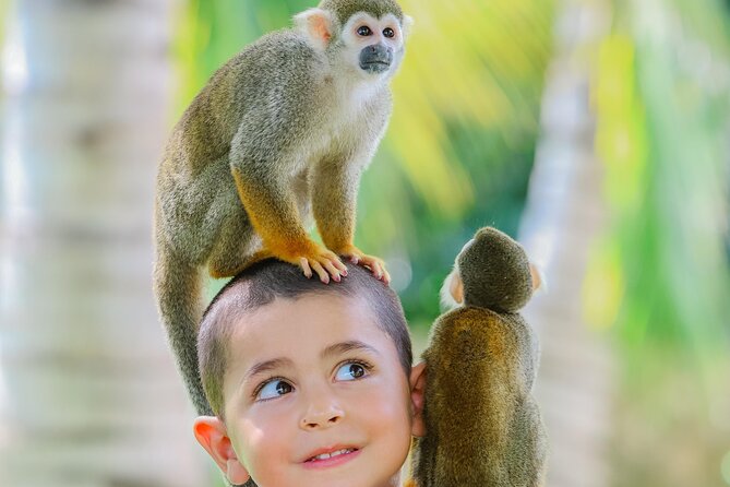 Monkey House VIP Experience with 4 species of monkeys, Punta Cana - Animal Care, Rescues, and How to Read the Signals