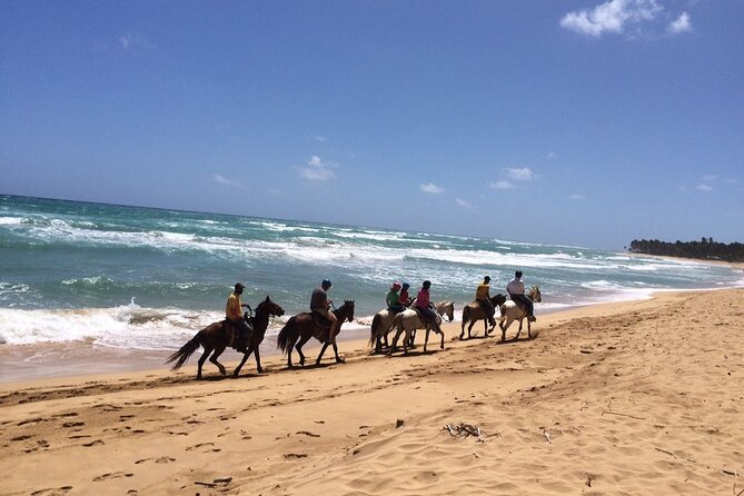 Montaña Redonda & Horseback Riding 2-in-1 Tour from Punta Cana - What to pack and how to handle moderate fitness