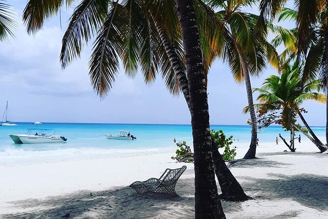 Ocean El Faro Resort - Round Trip Shuttle - Punta Cana Airport - The Ride to Ocean El Faro: Comfort, Punctuality, and Realistic Timing