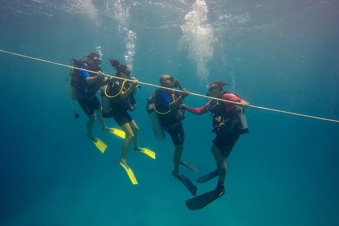 Open Water Diver - Bávaro - Key highlights you’ll care about