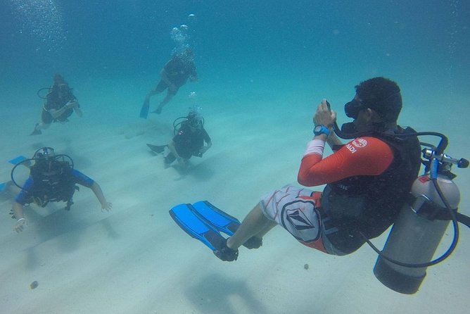 Open Water Diver - Bávaro - Theory and Pool Sessions: How the Course Builds Confidence
