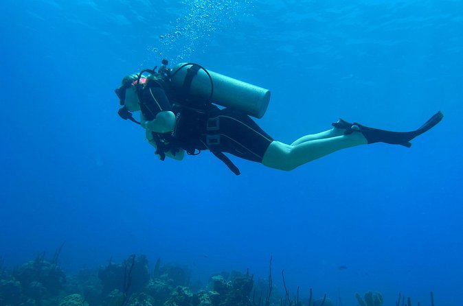 Open Water Diver - Bávaro - Price and Logistics: Is $460 Good Value?
