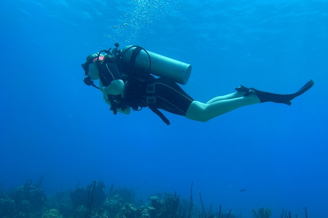 Open Water Diver - Bávaro - Your Best Fit: Who Should Book This Course