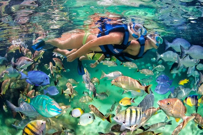 Party Boat - Booze Cruise Punta Cana - Snorkeling for 30 Minutes: Coral Reef, Equipment, and Timing