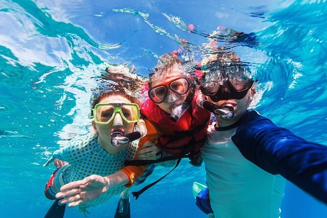 Party Boat Catamaran with Snorkeling from Punta Cana - Dolphin spotting from the boat: brief, not guaranteed