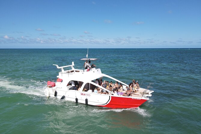 Party Boat Cruise from Punta Cana - How the 2:00 pm Sunset Party Boat Cruise Really Plays
