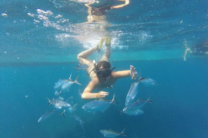 Party boat in Catamaran with Open Bar Only Adults + Snorkeling - Music, Dancing, and the Social Mix That Makes It Fun