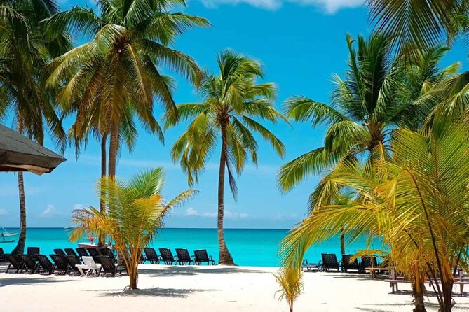 Perfect Day at Saona Island by Speedboat - Completely Private - Key Things to Know Before You Book
