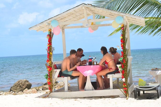 Perfect Day at Saona Island by Speedboat - Completely Private - Snorkeling Gear and What to Expect Under the Water