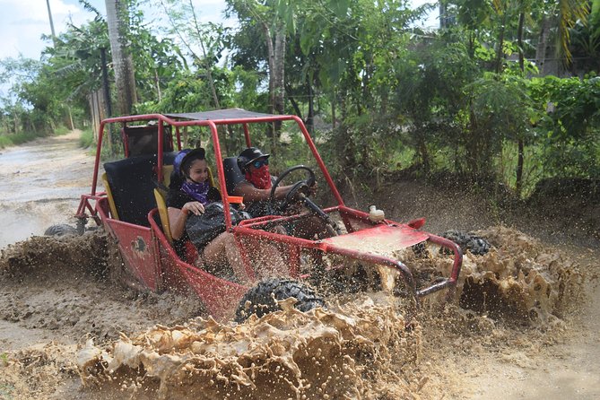 Platinum Buggy Adventure - Key Things to Know Before You Go