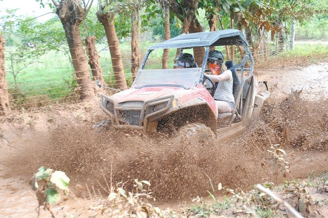 Platinum Buggy Adventure - Why Macao Beach Makes This Buggy Tour Worth It