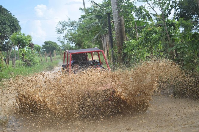 Platinum Buggy Adventure - Price and Value: Is $65 a Smart Use of Your Time?